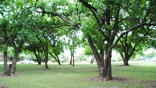 Large city parks are within one block, close to public bus routes.