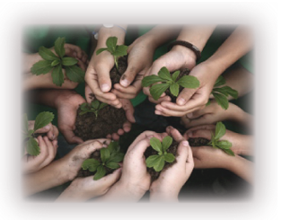 Image of a Community Garden: Just as it takes many hands to make a garden grow, so does our strength come from community.